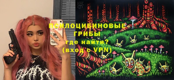 крисы Куйбышев