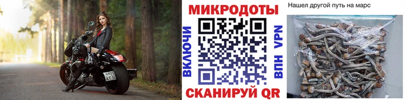 где можно купить   Южноуральск  Псилоцибиновые грибы мицелий 